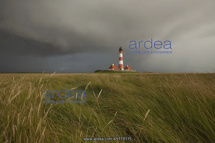 : Illuminated Westerheversand lighthouse on the North Sea under dark storm clouds : Illuminated Westerheversand lighthouse on the North Sea under dark storm clouds