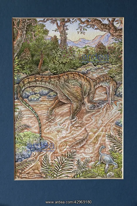 : Illustration - Baryonyx walkeri catches a Lepidotes : Illustration - Baryonyx walkeri catches a Lepidotes