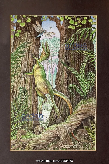 : Illustration - Compsognathus attacking a Dragonfly. Jurassic : Illustration - Compsognathus attacking a Dragonfly. Jurassic