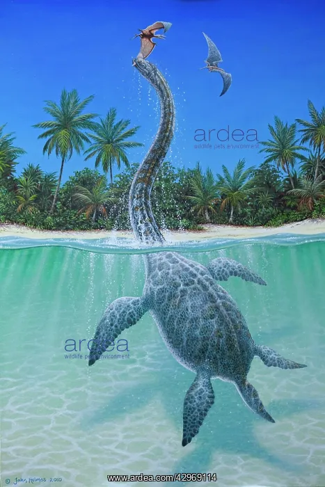 : Illustration - Elasmosaurus platyurus emerging : Illustration - Elasmosaurus platyurus emerging