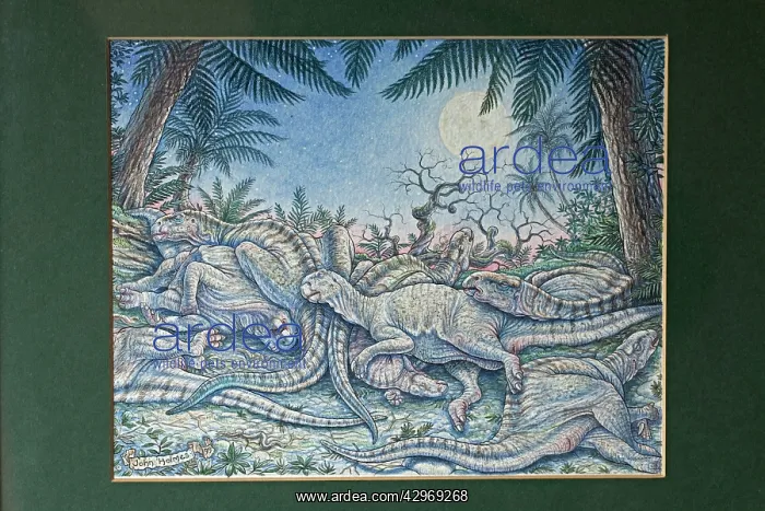 : Illustration - Iguanadon herd slumbering beneath : Illustration - Iguanadon herd slumbering beneath