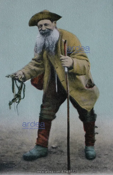 : Illustration: New Forest snake catcher, Brushy : Illustration: New Forest snake catcher, Brushy