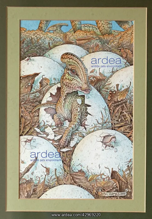 : Illustration - Parasaurolophus hatchling emerging : Illustration - Parasaurolophus hatchling emerging