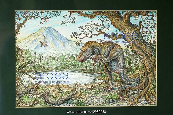 : Illustration - Tyrannosaurus Rex scratching. Cretaceous : Illustration - Tyrannosaurus Rex scratching. Cretaceous