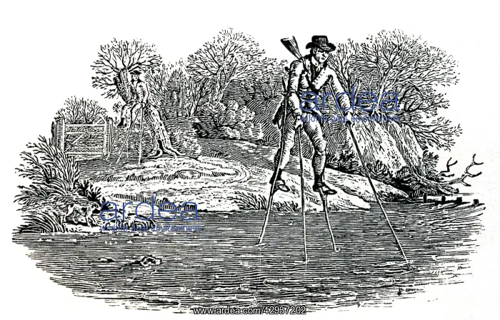 : Illustration - Walking on stilts to cross a stream : Illustration - Walking on stilts to cross a stream
