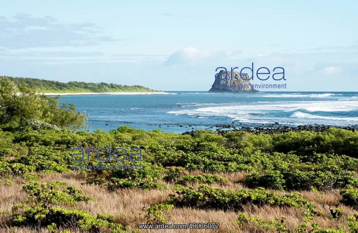 : Ilot Gabriel island shore : Ilot Gabriel island shore
