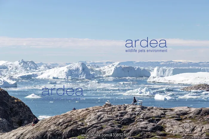 : Ilulissat, Greenland, June 30, 2018: Tourists at t : Ilulissat, Greenland, June 30, 2018: Tourists at t