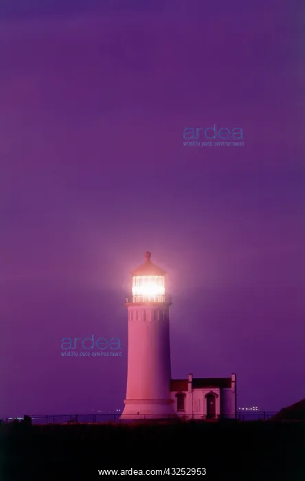 : Ilwaco, Washington, South Washington Coast : Ilwaco, Washington, South Washington Coast