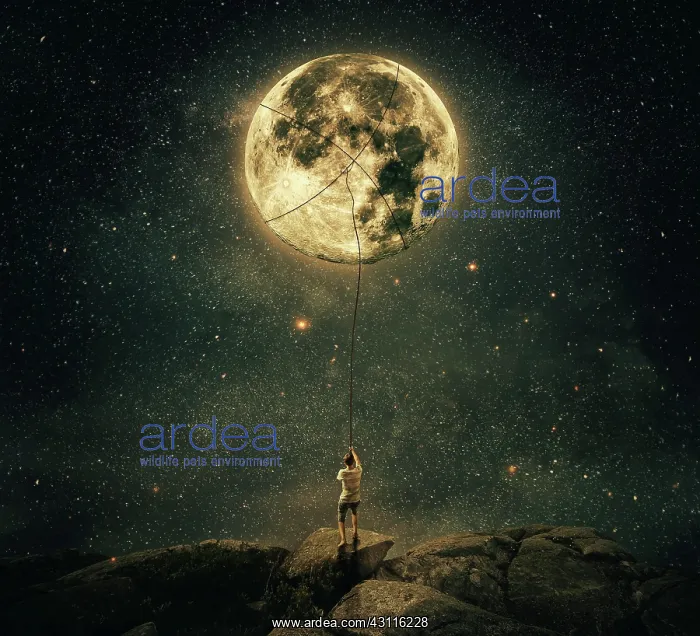 : Imaginary view as a young man, holding a rope, try : Imaginary view as a young man, holding a rope, try