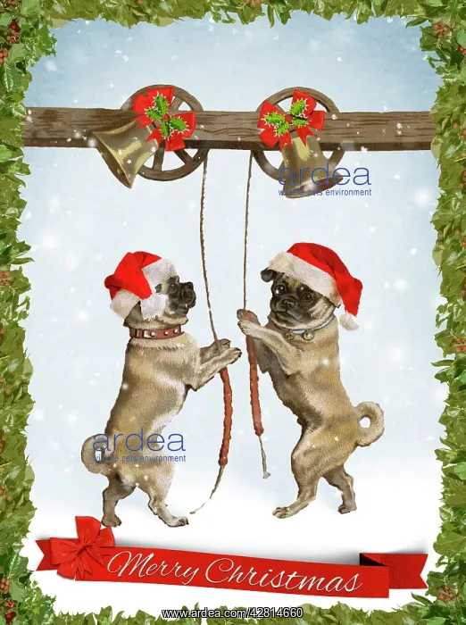 : An imaginative portrayal of pugs as bell ringing, bringing C : An imaginative portrayal of pugs as bell ringing, bringing C