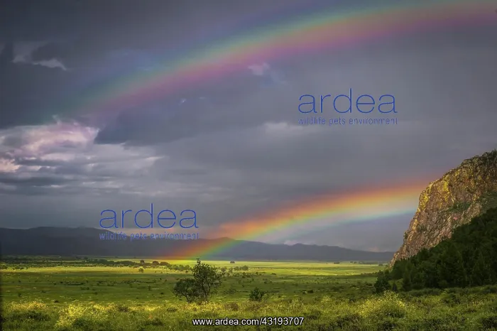 : IMB. Ardea Picture Library Contributors: IMB : IMB. Ardea Picture Library Contributors: IMB