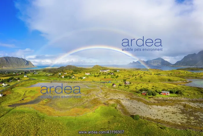 : IMB. Ardea Picture Library Contributors: IMB : IMB. Ardea Picture Library Contributors: IMB