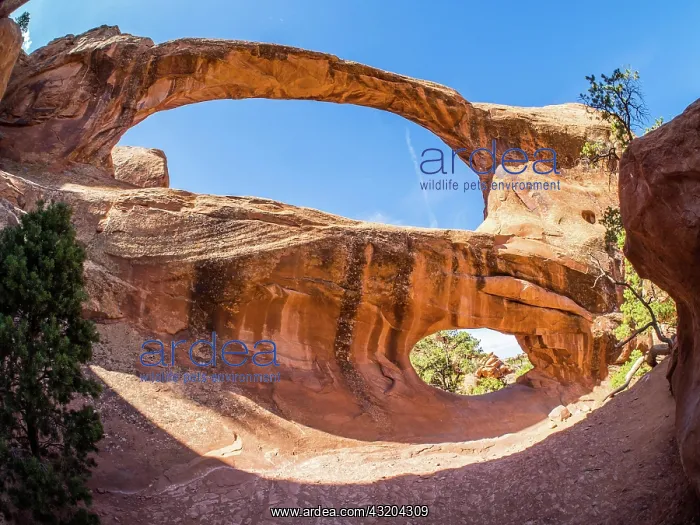 : IMB. Ardea Picture Library Contributors: IMB : IMB. Ardea Picture Library Contributors: IMB