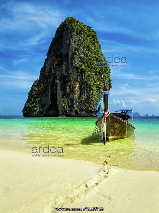 : IMB. Ardea Picture Library Contributors: IMB : IMB. Ardea Picture Library Contributors: IMB