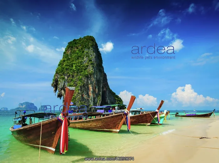 : IMB. Ardea Picture Library Contributors: IMB : IMB. Ardea Picture Library Contributors: IMB