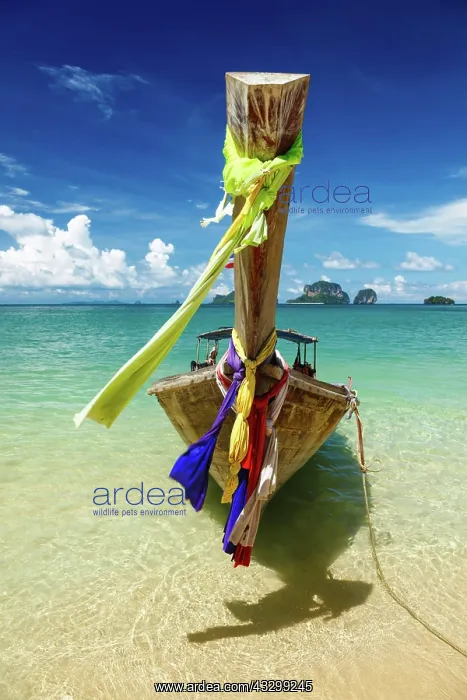  : IMB. Ardea Picture Library Contributors: IMB
