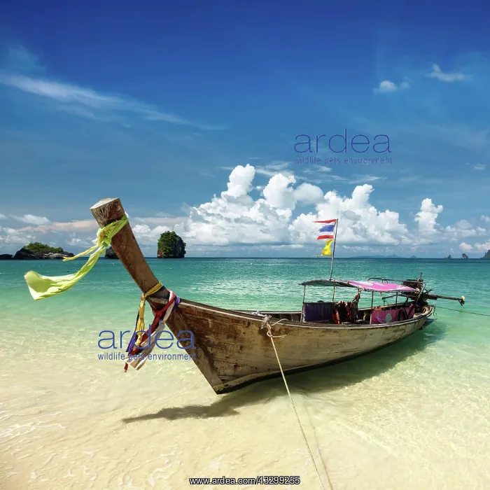 : IMB. Ardea Picture Library Contributors: IMB : IMB. Ardea Picture Library Contributors: IMB