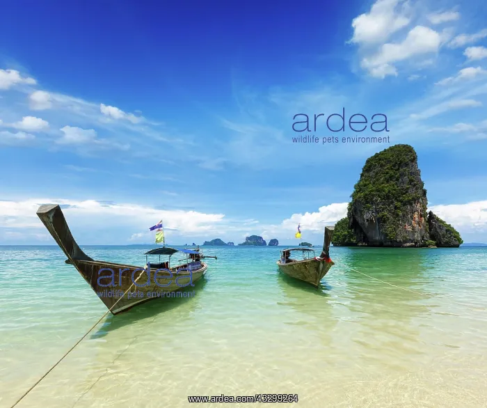 : IMB. Ardea Picture Library Contributors: IMB : IMB. Ardea Picture Library Contributors: IMB