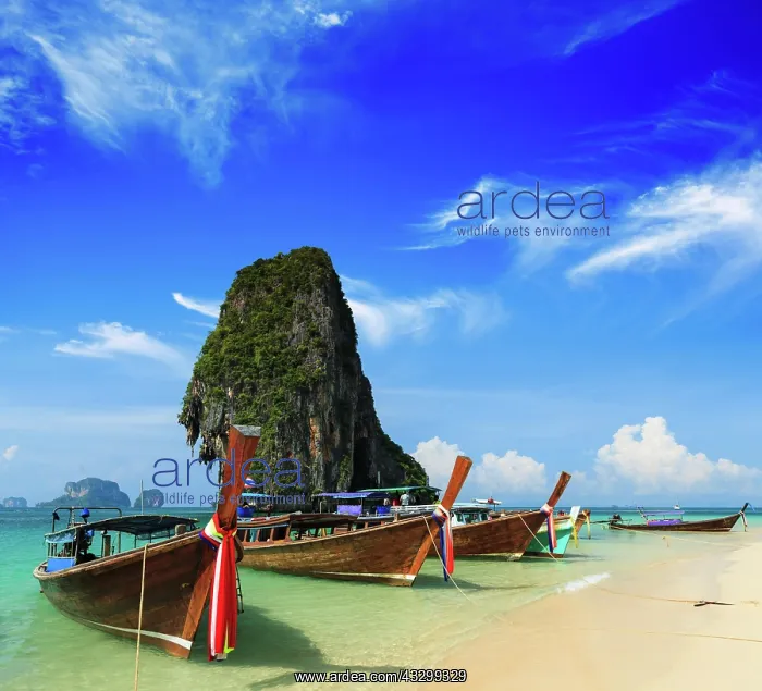 : IMB. Ardea Picture Library Contributors: IMB : IMB. Ardea Picture Library Contributors: IMB