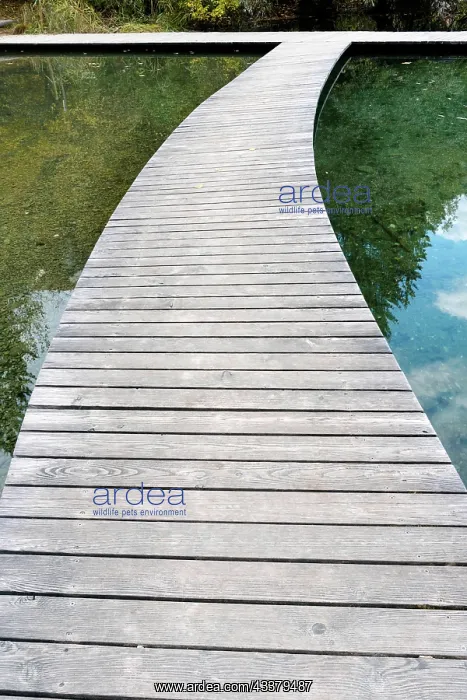 : IMB. Ardea Picture Library Contributors: IMB : IMB. Ardea Picture Library Contributors: IMB