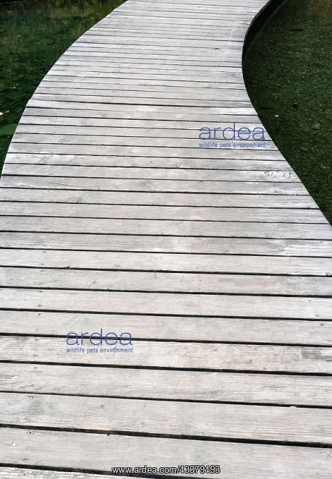 : IMB. Ardea Picture Library Contributors: IMB : IMB. Ardea Picture Library Contributors: IMB