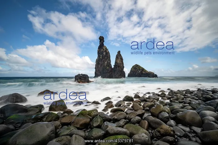 : IMB. Ardea Picture Library Contributors: IMB : IMB. Ardea Picture Library Contributors: IMB