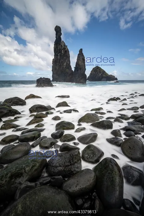 : IMB. Ardea Picture Library Contributors: IMB : IMB. Ardea Picture Library Contributors: IMB