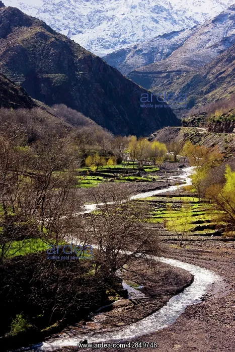 : The Imlil Valley in spring : The Imlil Valley in spring