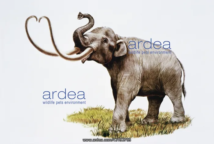 : Imperial Mammoth : Imperial Mammoth