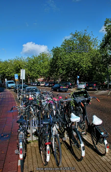: The importance of bicycles on a sunny day : The importance of bicycles on a sunny day