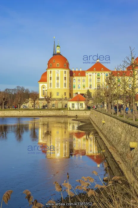 : Impressions of Moritzburg Castle near Dresden, Saxony : Impressions of Moritzburg Castle near Dresden, Saxony