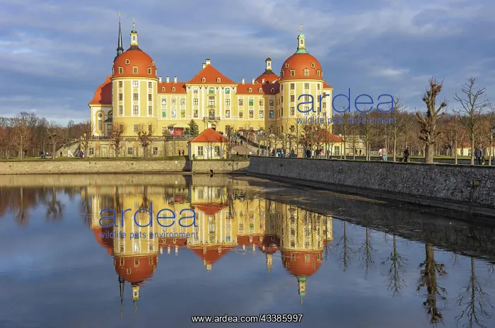 : Impressions of Moritzburg Castle near Dresden, Saxony : Impressions of Moritzburg Castle near Dresden, Saxony