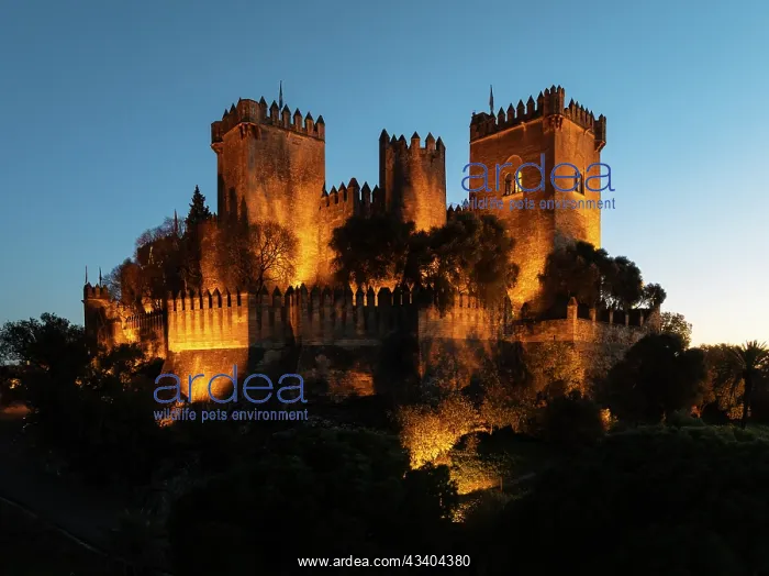 : The impressive eighth-century Moorish castle of : The impressive eighth-century Moorish castle of