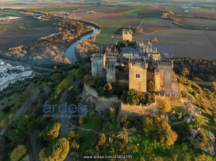 : The impressive eighth-century Moorish castle of : The impressive eighth-century Moorish castle of