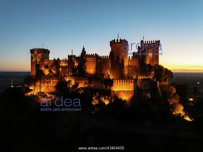 : The impressive eighth-century Moorish castle of : The impressive eighth-century Moorish castle of