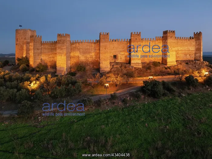 : The impressive Moorish Burgalimar castle at the : The impressive Moorish Burgalimar castle at the