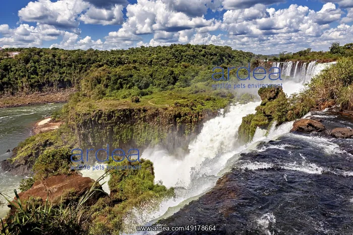 : Impressive waterfall with foaming river and lush vegetation : Impressive waterfall with foaming river and lush vegetation