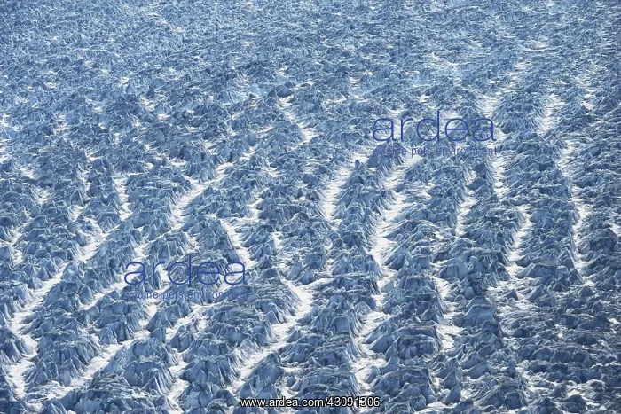 : Inactive Crevasses : Inactive Crevasses