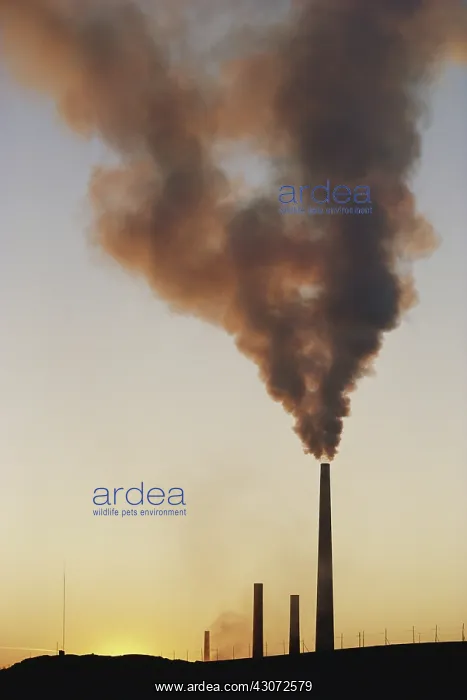: Inco Superstack, Ontario : Inco Superstack, Ontario