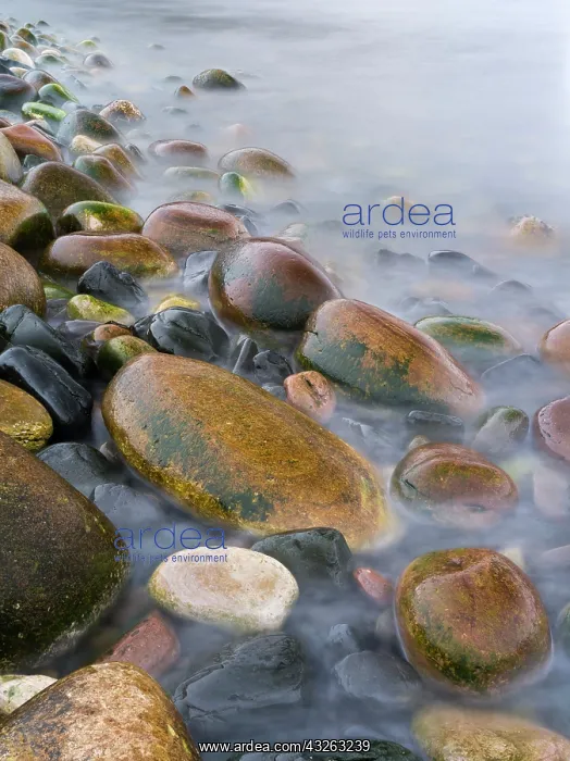 : Incoming tide at Rackwick Bay Beach, Island : Incoming tide at Rackwick Bay Beach, Island