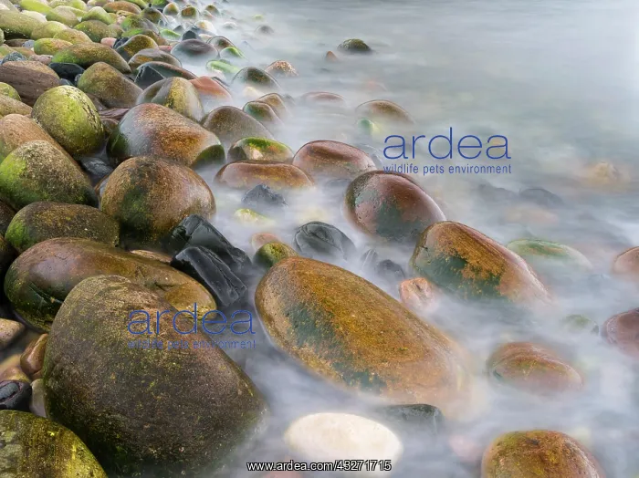 : Incoming tide at Rackwick Bay Beach, Island : Incoming tide at Rackwick Bay Beach, Island