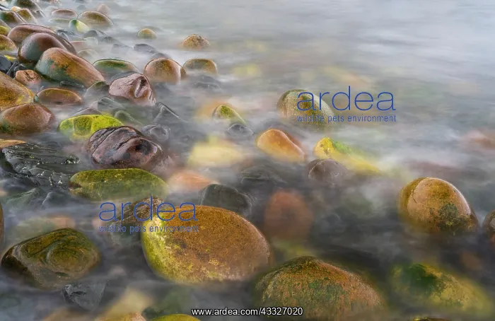 : Incoming tide at Rackwick Bay Beach, Island : Incoming tide at Rackwick Bay Beach, Island