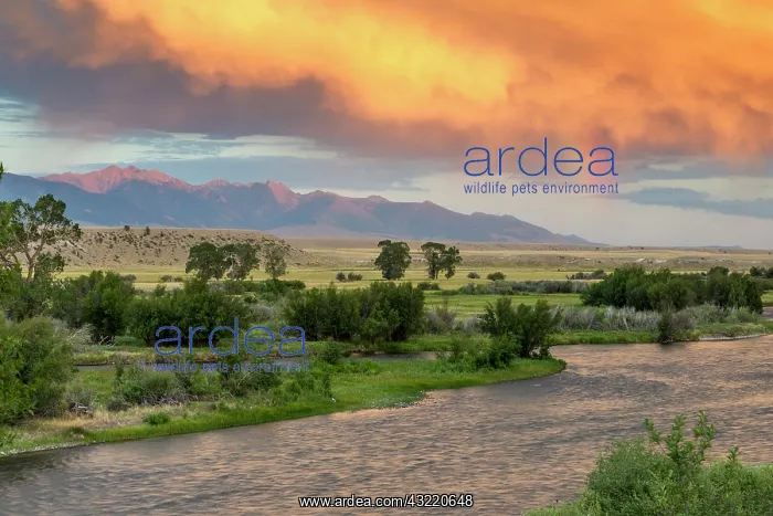 : Incredible stormy light on the Madison River : Incredible stormy light on the Madison River