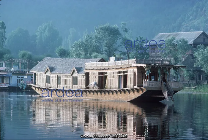 : India - Houseboat on lake being poled to new mooring : India - Houseboat on lake being poled to new mooring