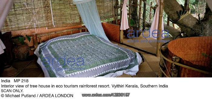 : INDIA - interior view of tree house in eco-tourism : INDIA - interior view of tree house in eco-tourism