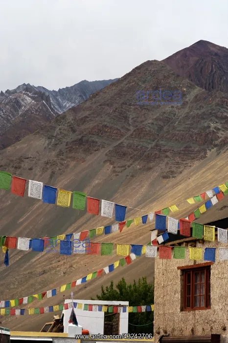 : India, Ladakh, Alchi, colorful Buddhist : India, Ladakh, Alchi, colorful Buddhist