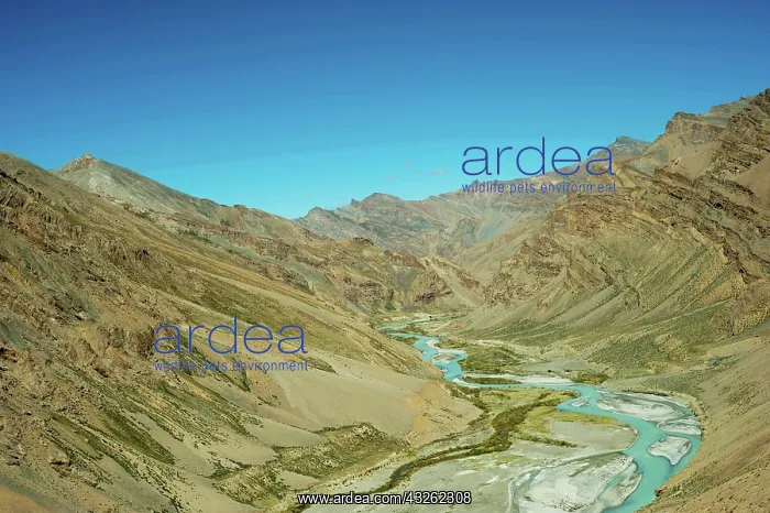 : India, Ladakh, scenic rugged landscape with : India, Ladakh, scenic rugged landscape with