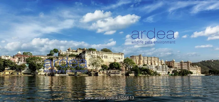 : India luxury tourism concept background, panoram : India luxury tourism concept background, panoram