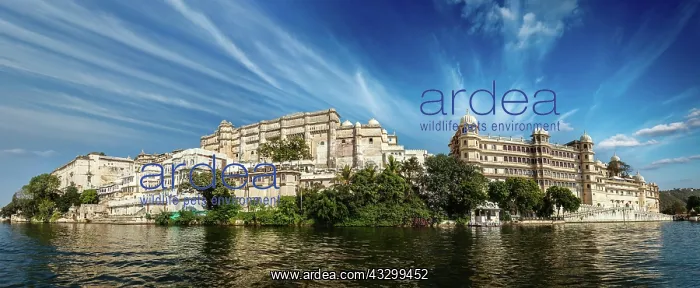  : India luxury tourism concept background, panorama