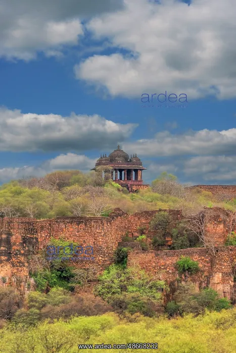 : India, Rajasthan. Ranthambore National Park. Fortress ruin : India, Rajasthan. Ranthambore National Park. Fortress ruin